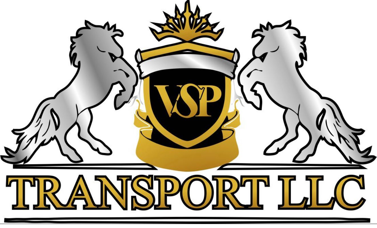VSP TRANSPORT LLC
